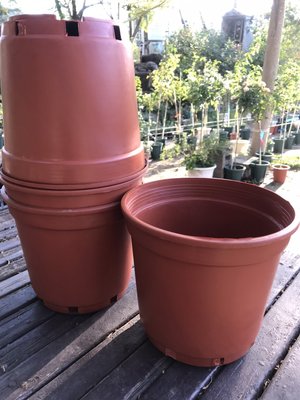 八吋 花盆 8吋花盆-橘色-24*22CM台製花盆。亦可做夏季植栽外套盆用，降低植栽土壤過熱燒根