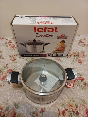 全新 法國特福 Tefal 藍帶系列不鏽鋼鍋具 湯鍋 調理鍋 小火鍋 20公分 3公升
