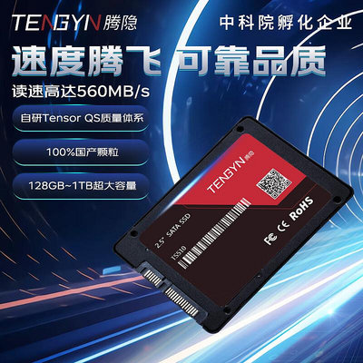 騰隱TENGYIN桌機筆電SATA3接口SSD固態硬碟2T TS510 2TB 2.5