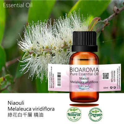 【純露工坊】綠花白千層精油Niaouli - Melaleuca viridiflora 10ml