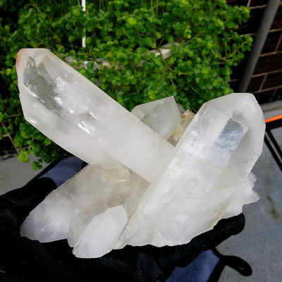 [友克鑫礦業]ac1701約重850g 通靈水晶 水晶柱 白水晶柱 白水晶簇 水晶柱 原礦