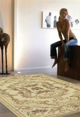 【范登伯格 】愛克來150萬針高密度仿榨蠶絲進口地毯.賠售價29990元含運-280x380cm