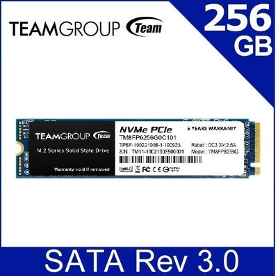 ~協明~ TEAM 十銓 MP33 256GB 512 M.2 PCIe SSD 固態硬碟 全新五年保固