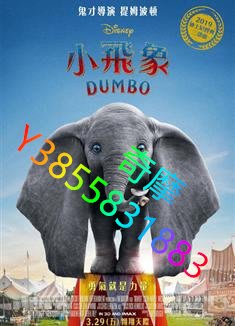 DVD 專賣店 小飛象/小飛象真人版/Dumbo