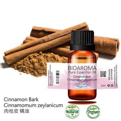 【芳香療網】Cinnamon Bark - Cinnamomum zeylanicum 肉桂皮精油 100ml