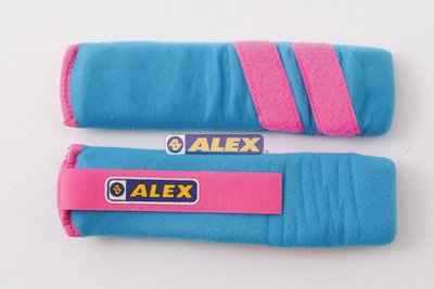 可自取 ALEX C-1701 女生用 沙包 加重器 綁腿 綁手 韻律 健身 有氧 1公斤 台灣製造 0.5KG*2個