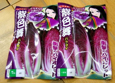 【媽咪蔬果園】日本原裝 紫奏子結球白菜 分裝種子　※(種子全面直購價每包12元.購買商品滿300元免掛號運費)