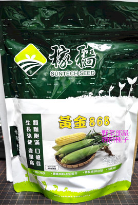 【野菜部屋~大包裝】N36 黃金868超甜玉米種子1磅 , 高度適中 , 耐病力佳 , 每包700元~