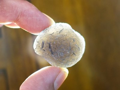 §能量礦石§ 亞利桑那隕石Saffordite Arizona天狼星隕石 重22.95g