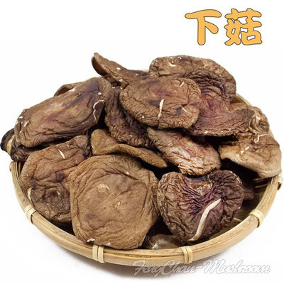 -下菇/開菇/惜福菇(一斤裝)-台灣埔里香菇，肉身較薄，形狀醜，有稍微破損的香菇，價格便宜省成本。【豐產香菇行】
