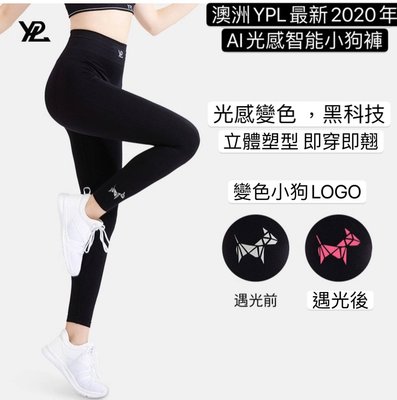 塑身瑜伽褲 澳洲YPL  AI小狗褲 智能光感塑型 機能褲 壓力褲 塑身褲