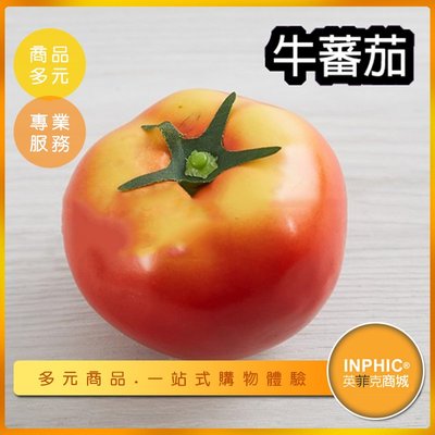 INPHIC-牛蕃茄模型 番茄  生鮮蔬菜-IMFP060104B