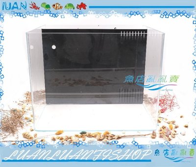 【魚店亂亂賣】ISTA ㄇ型1.5尺超白玻璃背濾套缸45*35*35cm(上蓋+濾材+馬達)台灣伊士達