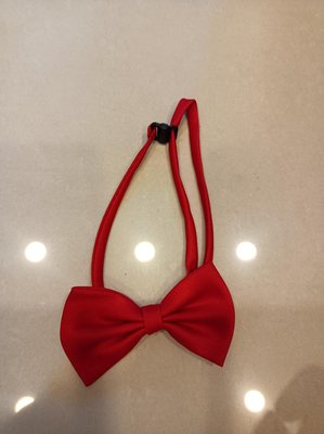 領帶可調整 兒童 襯衫 禮服 紅色領帶（1-2y)