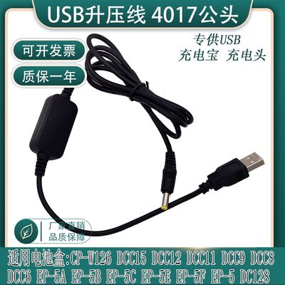 相機配件 USB升壓線適用松下panasonic BLC12 BLH7 BLF19E 賓得D-AC128/D-LI109假電池 WD014