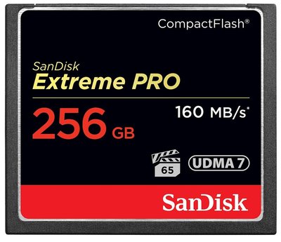 『儲存玩家』台南 SanDisk 256GB 256G Extreme Pro CF 讀160M 寫150M