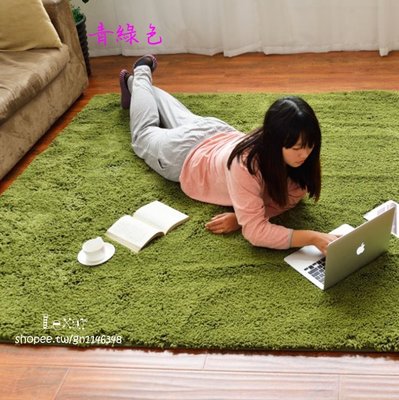 日式加厚絲毛長絨簡約現代客廳臥室茶几飄窗榻榻米床邊地毯滿鋪