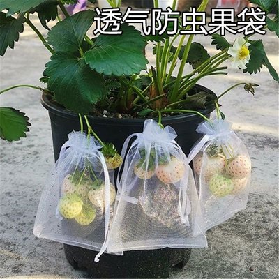 草莓套袋水果網袋透氣番茄藍莓葡萄無花果防蟲鳥果實保護袋防鳥罩