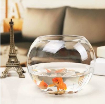 圓形魚缸 球形水族缸 圓球玻璃小費箱 球型玻璃花器 玻璃花盆 球型花瓶 養魚植栽專用缸el