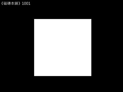 《磁磚本舖》1001 10X10公分 霧面白色方塊磚