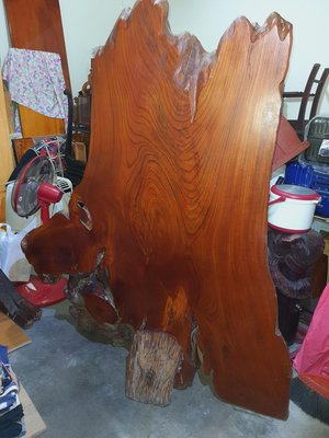 台灣紅櫸木(鷄油)原木屏風(高185寬15O厚4O)非常重.非檜木.肖楠
