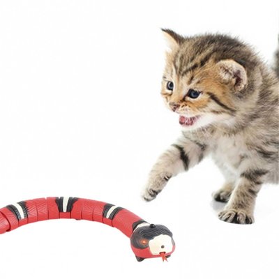 CC小铺電動蛇玩具 智能感應蛇玩具 貓咪互動玩具 假蛇玩具 聖誕節惡作劇道具 用於貓狗寵物室內遊戲