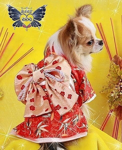 敗犬女王寵物手工衣 狗狗和服量身訂作 紅色結彩節節高昇和服 可客制化寵物衣服 大型犬 Yahoo奇摩拍賣