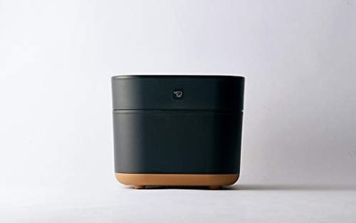 日本代購ZOJIRUSHI象印NW-SA10 BA 炊飯器IH電子鍋6人份微電腦兩色可選