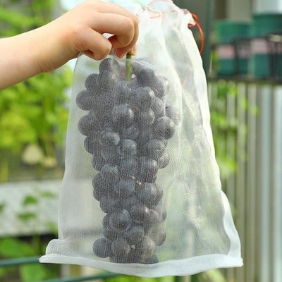 促銷打折 防蟲網袋專用防鳥神器草莓防果蠅果樹袋瓜果葡萄芒果水果瓜類套袋
