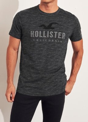 HCO Hollister 海鷗 短袖 T恤 現貨 貼布刺繡logo 麻花黑色