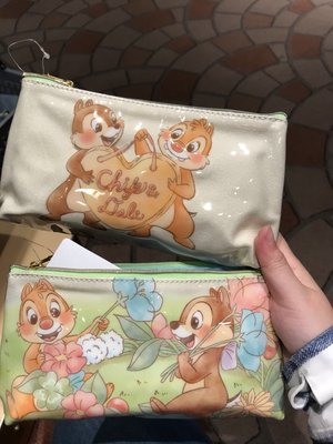 《現貨》Coco馬日本代購~日本迪士尼商店 正版 奇奇蒂蒂 防水 化妝包 筆袋 收納包 鉛筆盒