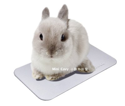 。╮♥ Mini Cavy ♥╭。日本Marukan RH-583 兔兔專用涼墊