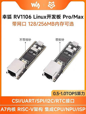 生活倉庫~幸狐RV1106 Luckfox Pico ProMax 微型Linux開發板RISC-V A7內核  免運