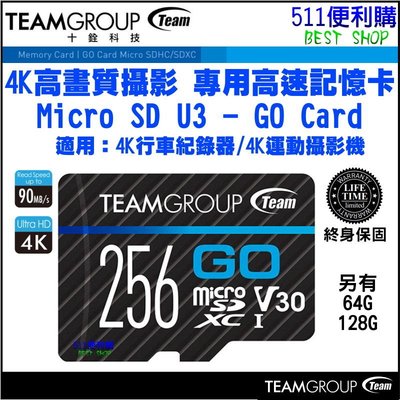 【公司貨】TEAM 十銓 GO Card U3 256GB 運動攝影記憶卡 終身保固 4K高畫質專用卡 GO卡