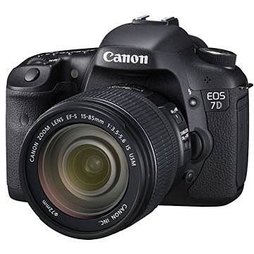 彩色鳥 (相機出租**鏡頭出租)租 Canon 7D + Sigma 50mm F1.4 EX DG 650D 70D