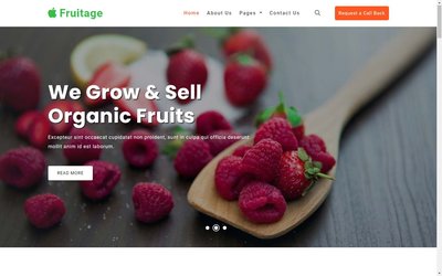 Fruitage Agriculture Category 響應式網頁模板、HTML5+CSS3  #05070