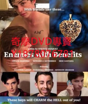 DVD 2016年 炮敵/Enemies with Benefits 電影