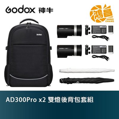 Godox 神牛 AD300Pro x2 雙燈後背包套組 開年公司貨 300WS TTL 閃光燈 AD300 PRO