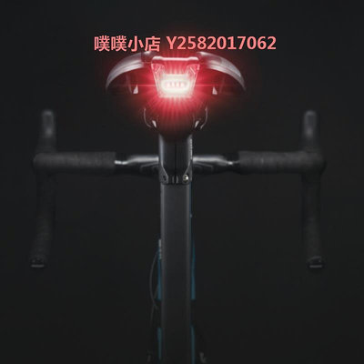 捷安特NUMEN+UNICLIP TL車燈自行車配件USB充電式車尾燈
