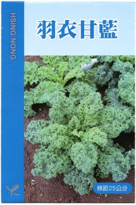 【野菜部屋~】E50 羽衣甘藍種子10公克 , 風味濃 , 採收期長 ,每包150元~