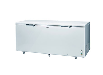 【台南家電館】SANLUX 三洋616公升上掀式冷凍櫃《SCF-616G》臥式冷凍櫃 店面+網路銷售服務有保障