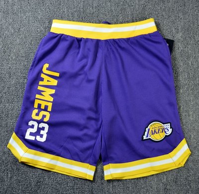 美版正品 NBA 聯名款 Lakers LeBron James 洛杉磯  球褲兒童 青年款 透氣排汗網眼打球褲 運動褲