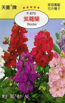 【野菜部屋~】Y55 紫羅蘭Stocks~天星牌原包裝種子~每包17元~