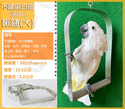 ＊中華鳥園＊ 鸚鵡寵物玩具-不鏽鋼白鐵具系列 (鞦韆-大) 灰鸚/折衷/亞馬遜/巴丹/金剛/中大型/大型