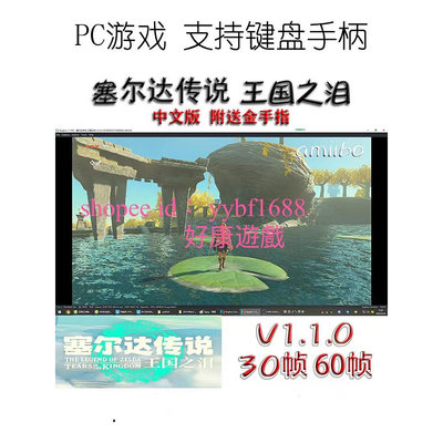 電玩界 塞爾達傳說：王國之淚 繁體中文版 送金手指 PC電腦單機模擬器遊戲