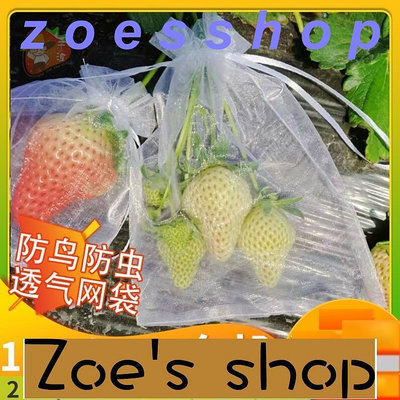 zoe-小夏草莓套袋網袋水果防鳥防蟲網袋紗袋透氣陽臺盆栽無花果藍莓葡萄套