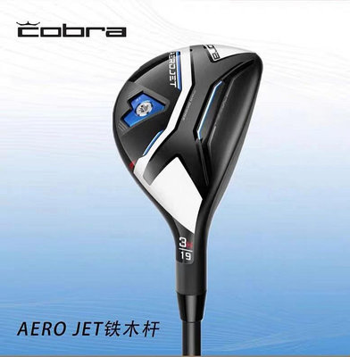 高爾夫球桿 戶外用品 23新款COBRA高爾夫球桿AEROJET男士鐵-一家雜貨