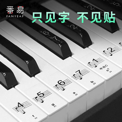 鋼琴鍵盤貼紙/88鍵61/54鍵透明電子琴貼音符音標琴鍵貼五線譜簡譜-滿200元發貨