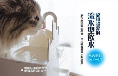 CattyMan DM 貓用鵝頸流水淨化飲水器 CAFE 電動飲水機 濾式給水器 餵水器（＃93354）每件1,290元
