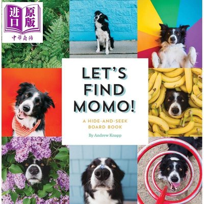 Lets Find Momo Hide And Seek Board Book 讓我們找到Momo 捉迷藏的書 英文原版進口 狗狗找找書 紙板圖畫書
